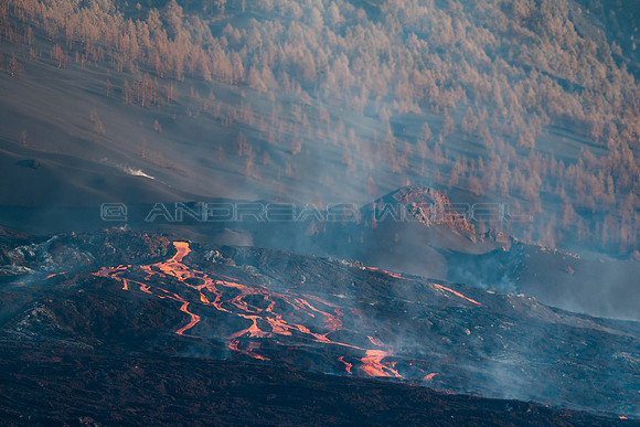 Corre la lava - Colada del Volcán de Cumbre Vieja, La Palma.