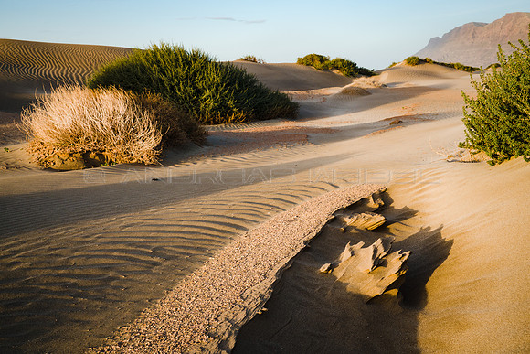 Escarpado por el viento - Dunas de Famara