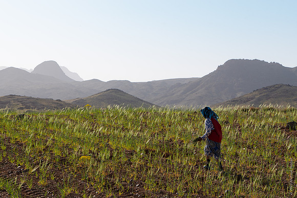 Mount-Siroua-Trek-Photo-145