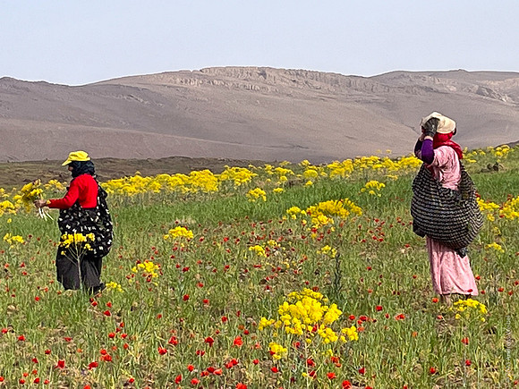 Mount-Siroua-Trek-Photo-3