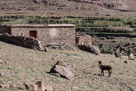 Mount-Siroua-Trek-Photo-101