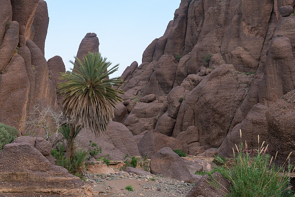Mount-Siroua-Trek-Photo-7
