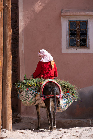 Mount-Siroua-Trek-Photo-36