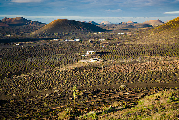 Vista a la región vinícola de La Geria - Lanzarote, Islas Canarias