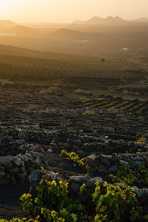 Atardecer entre Zocos y volcanes - La Geria, Lanzarote.