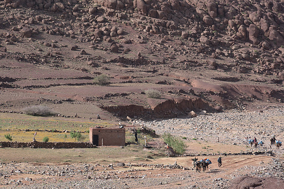 Mount-Siroua-Trek-Photo-20