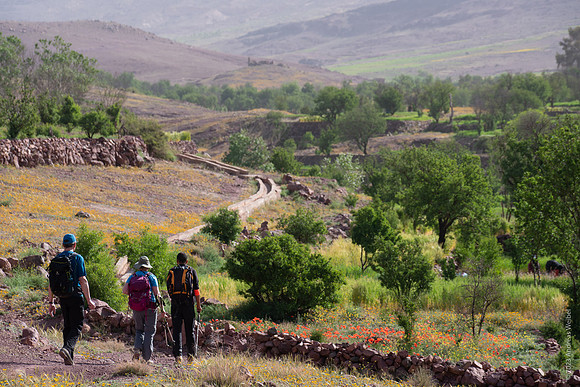 Mount-Siroua-Trek-Photo-23