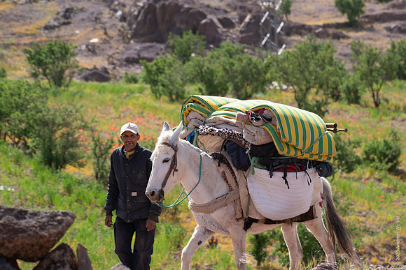 Mount-Siroua-Trek-Photo-32