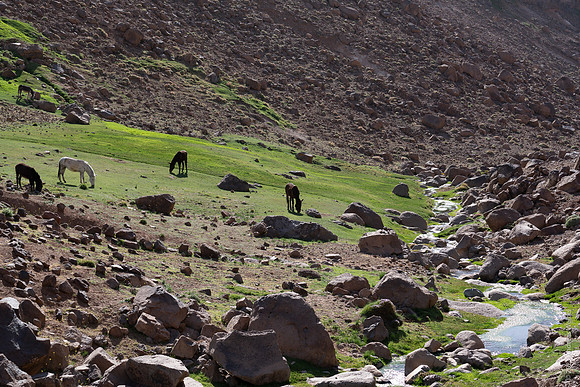 Mount-Siroua-Trek-Photo-59