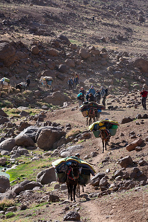 Mount-Siroua-Trek-Photo-58