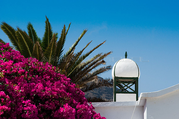 Buganvilla, Palmera y Chimenea - Lanzarote, Islas Canarias