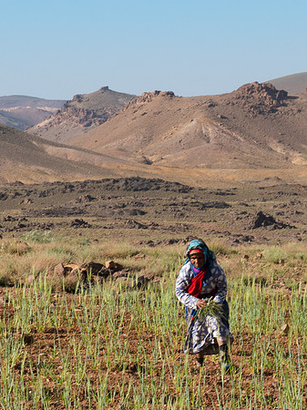 Mount-Siroua-Trek-Photo-144