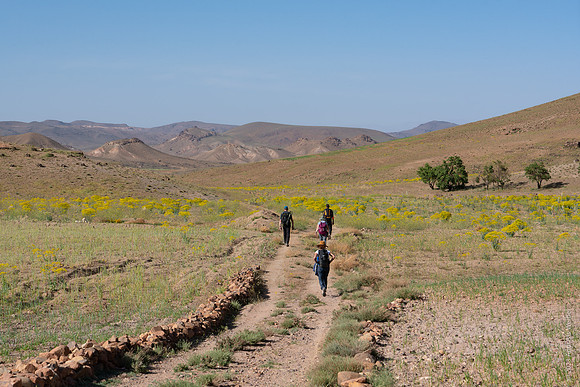Mount-Siroua-Trek-Photo-142