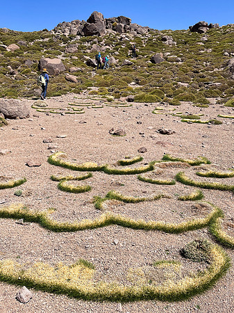 Mount-Siroua-Trek-Photo-81