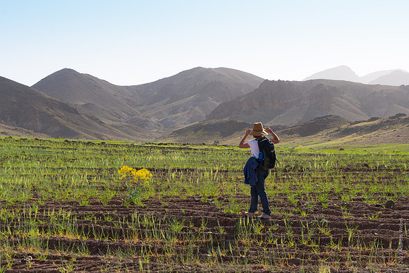 Mount-Siroua-Trek-Photo-143