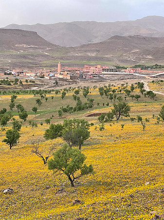Mount-Siroua-Trek-Photo-2