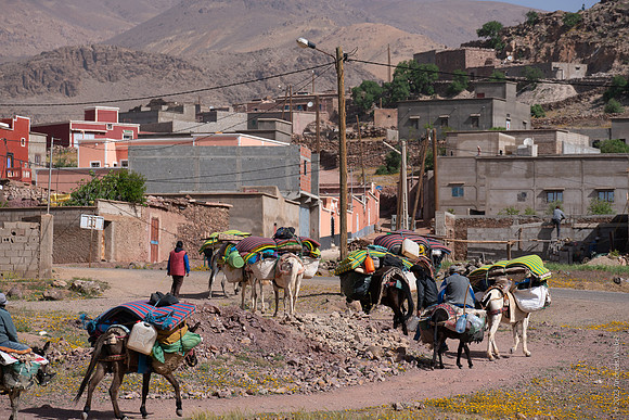 Mount-Siroua-Trek-Photo-33