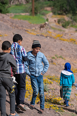 Mount-Siroua-Trek-Photo-29
