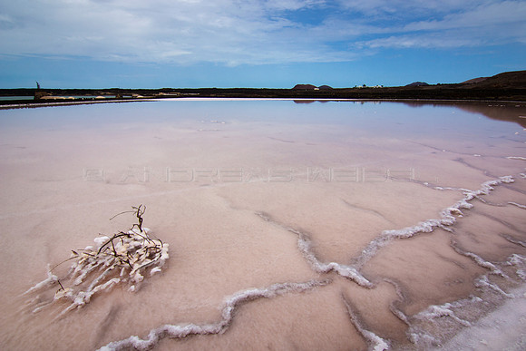Piscina rosa en Las Salinas de Janubio - Lanzarote