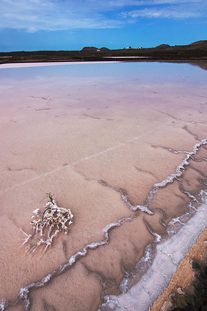 Piscina rosa - Salinas de Janubio, Yaiza.