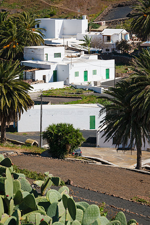 Casas entre palmeras - Los Valles, Teguise.