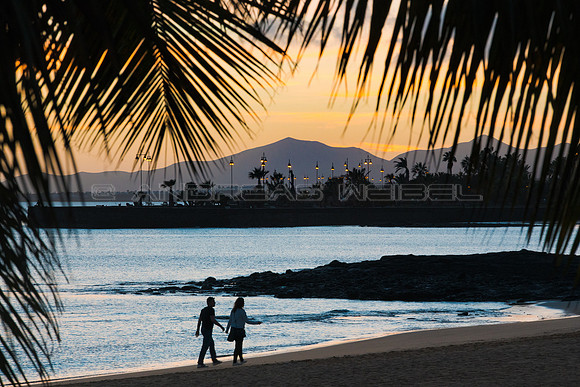 Paseo entre Palmeras - Playa del Reducto, Arrecife.