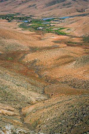 Colores majoreras en Fayagua, Pájara.