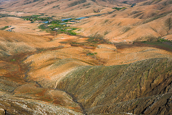 Oasis en el Barranco de Fayagua - Pájara.