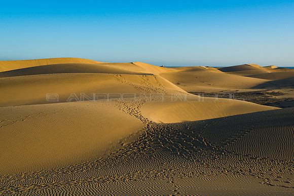 Dunas de Maspalomas al atardecer