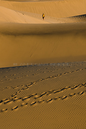Entre dunas - Maspalomas.