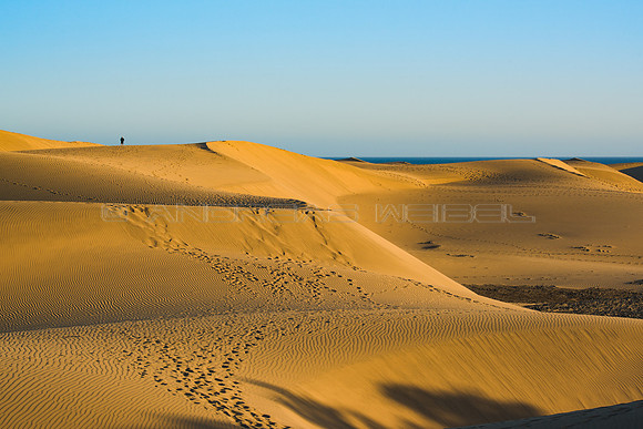 Camino al mar - Pisadas en las Dunas de Maspalomas, Gran Canaria