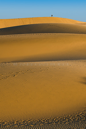 En la cresta - Dunas de Maspalomas.