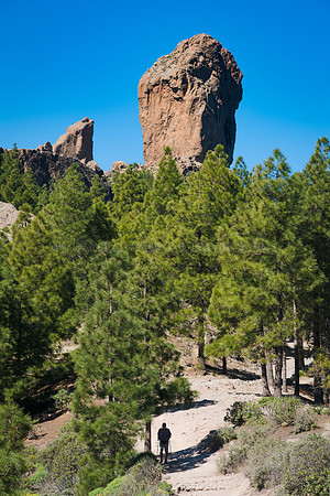 Roque Nublo con pinar y senderista.