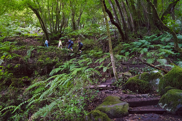 Marcos y Cordero - La Palma