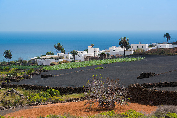 Cultivos y pueblo de Tabayesco - Haria.