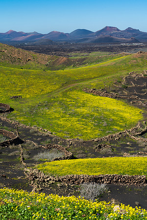 Vista a los volcanes de Timanfaya - Entre Montañas, Tías.