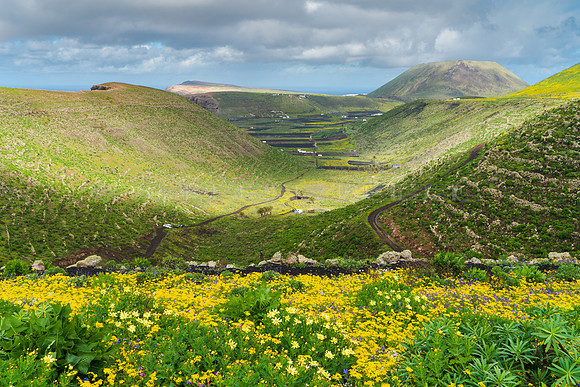 Vista al valle - Guinate, Haria.