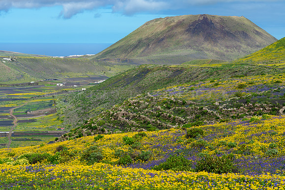 Vista al Monte Corona - Guinate, Haria.