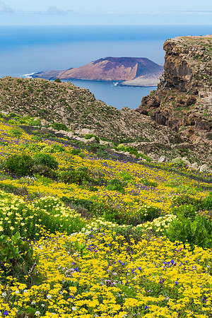 Vista a Montaña Amarilla desde la Degollada del Gayo - Lanzarot