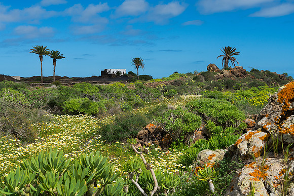Paisaje rural con Finca - cerca de Haria, Lanzarote.
