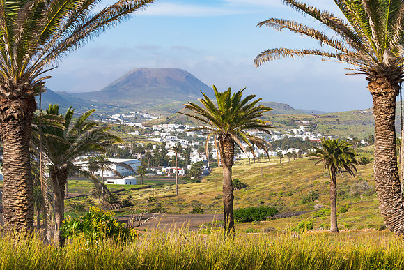 Vista de palmera - Valle de Haria.