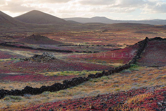 Paisaje "multicolor" cerca de Costa Teguise.