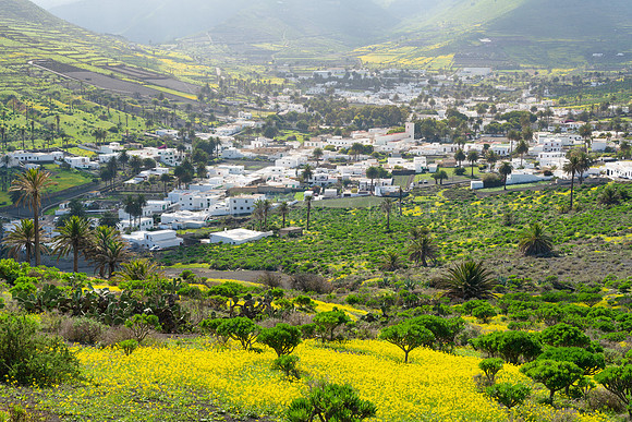 Vista a contraluz en el Valle de las mil Palmeras - Haria, Lanza