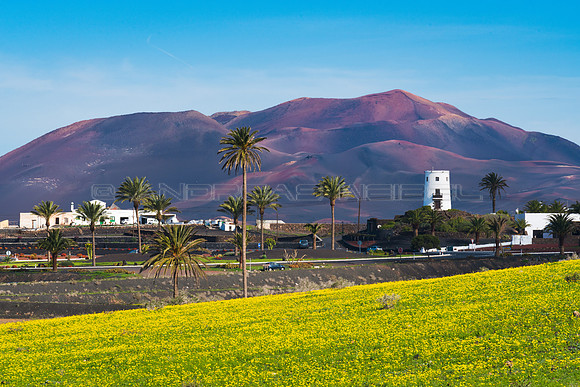 Pradera con volcán - Yaiza y el Macizo de Timanfaya.