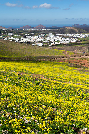 Vista a Uga y Yaiza (desde la ladera de Montaña Casa) - Yaiza.