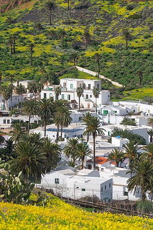 Pueblo en un valle de flores - Haria, Lanzarote.