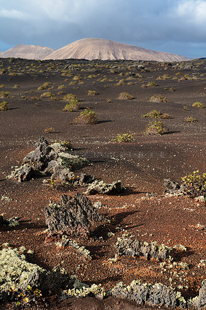 Vista con lava y volcán - Caldera Blanca desde el P.N. Timanfay