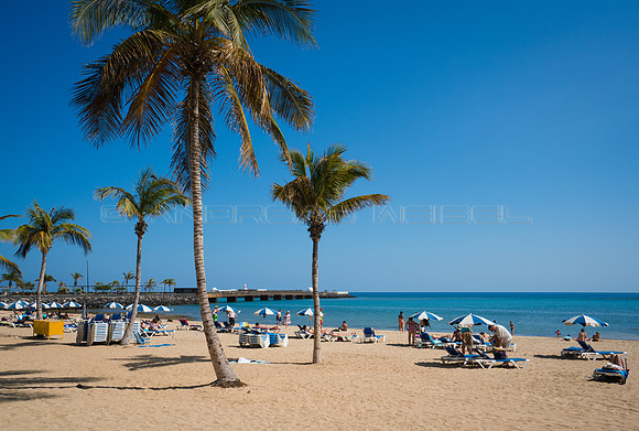 Entre palmeras y el mar - Playa El Reducto, Arrecife.