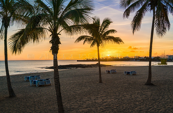Puesta de sol entre palmeras - Playa El Reducto, Arrecife.