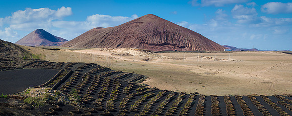 Viñedo ante el volcán Timbaiba en El Jable - Tiagua.